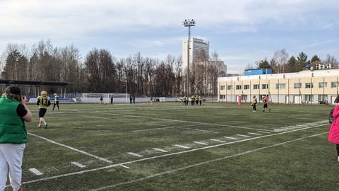 шпалери plant, sky