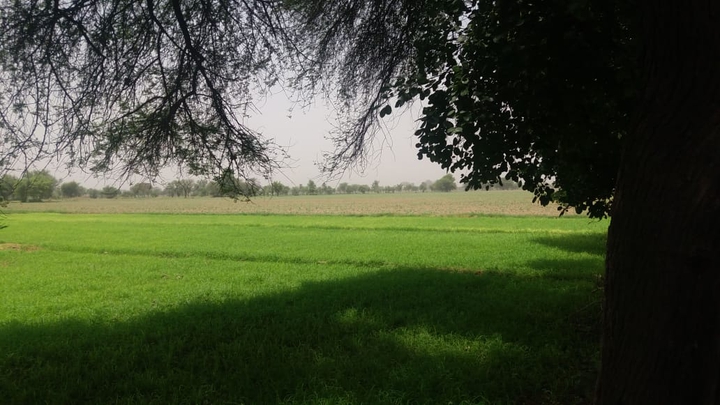 village, Mianwali