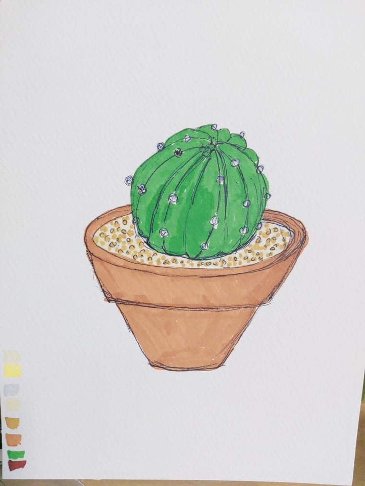 선인장