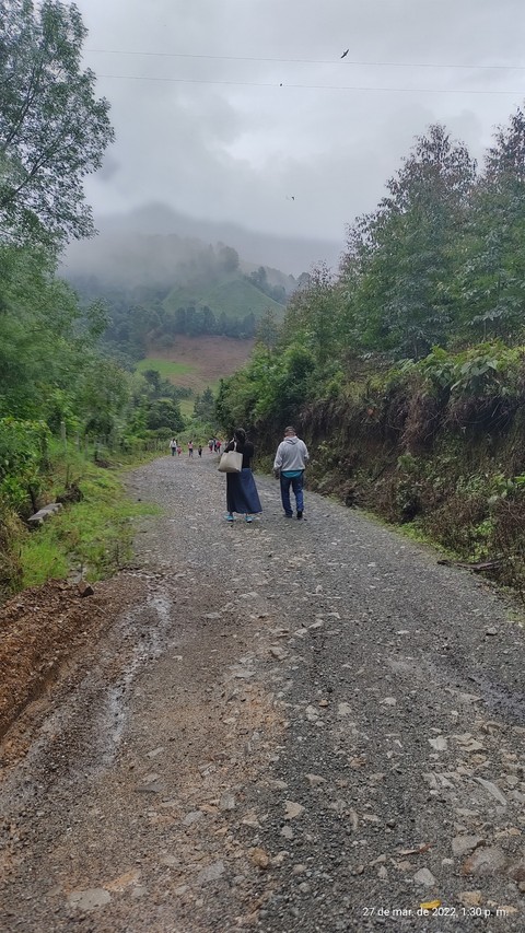 ecoregion, mountain壁紙