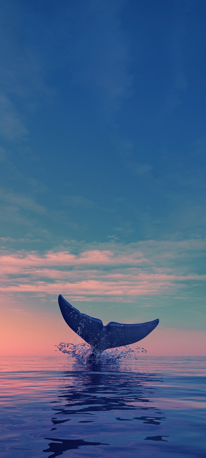 배경사진