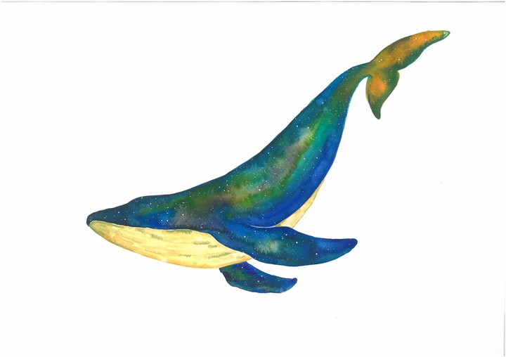 whale