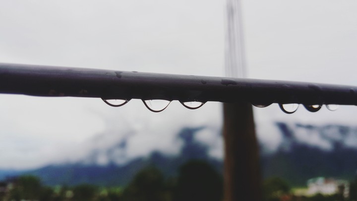 Rain drops.