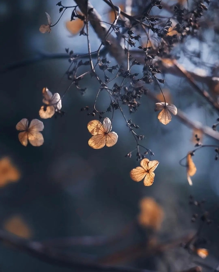 untold feeling