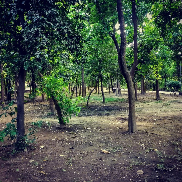 Nature