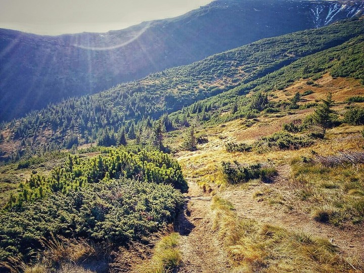 Карпатские горы