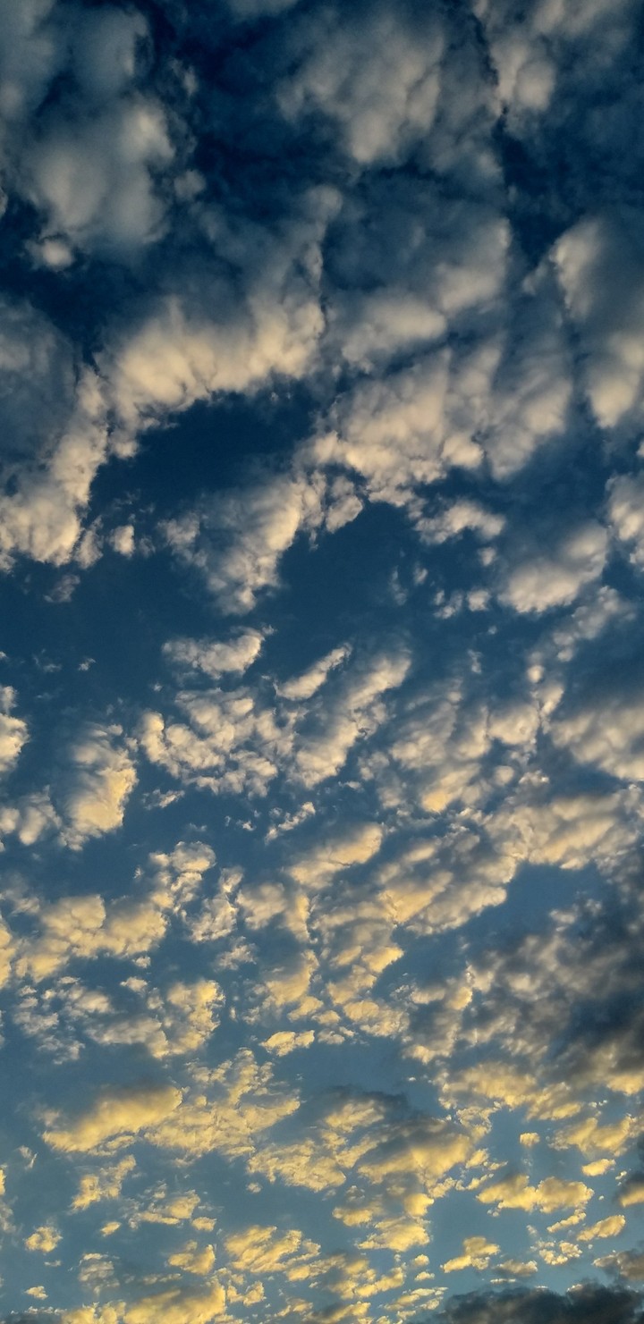 Sky ❤️