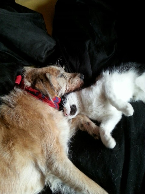 floyd and lucie