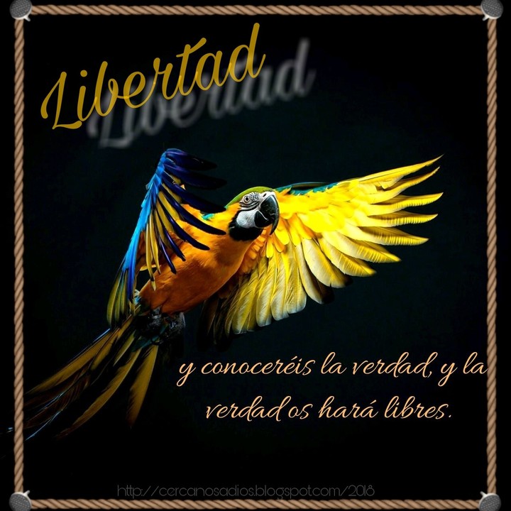 Libertad en Cristo!!