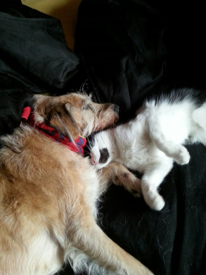 floyd and lucie