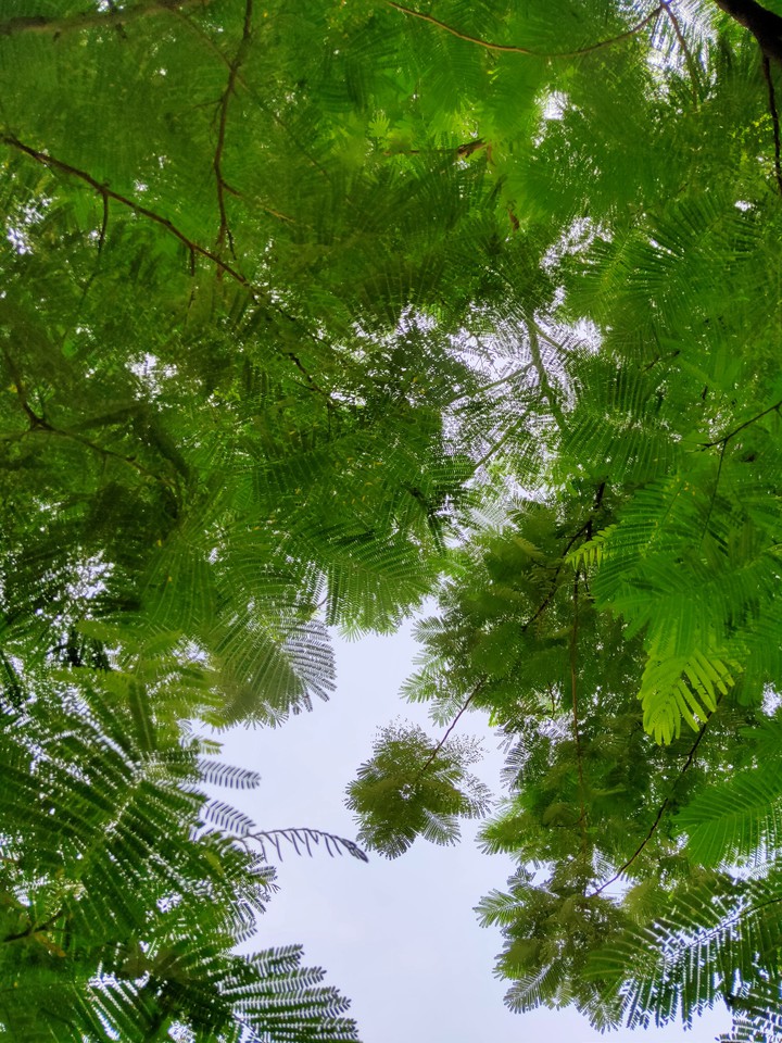wallpaper