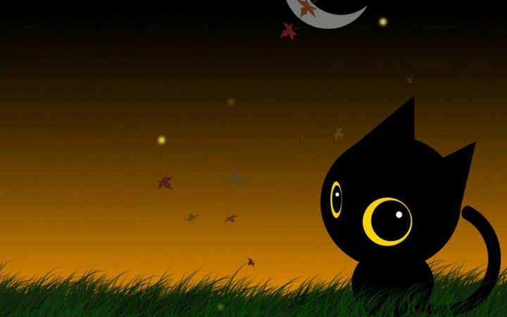 Night Cat
