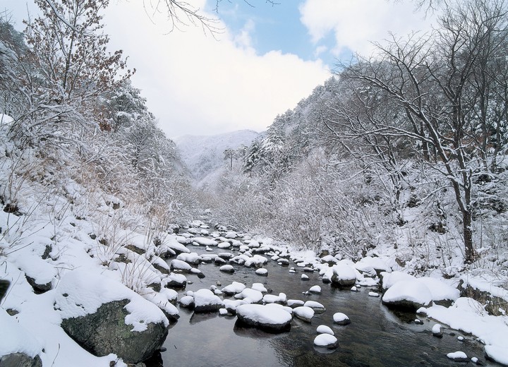 겨울의전경