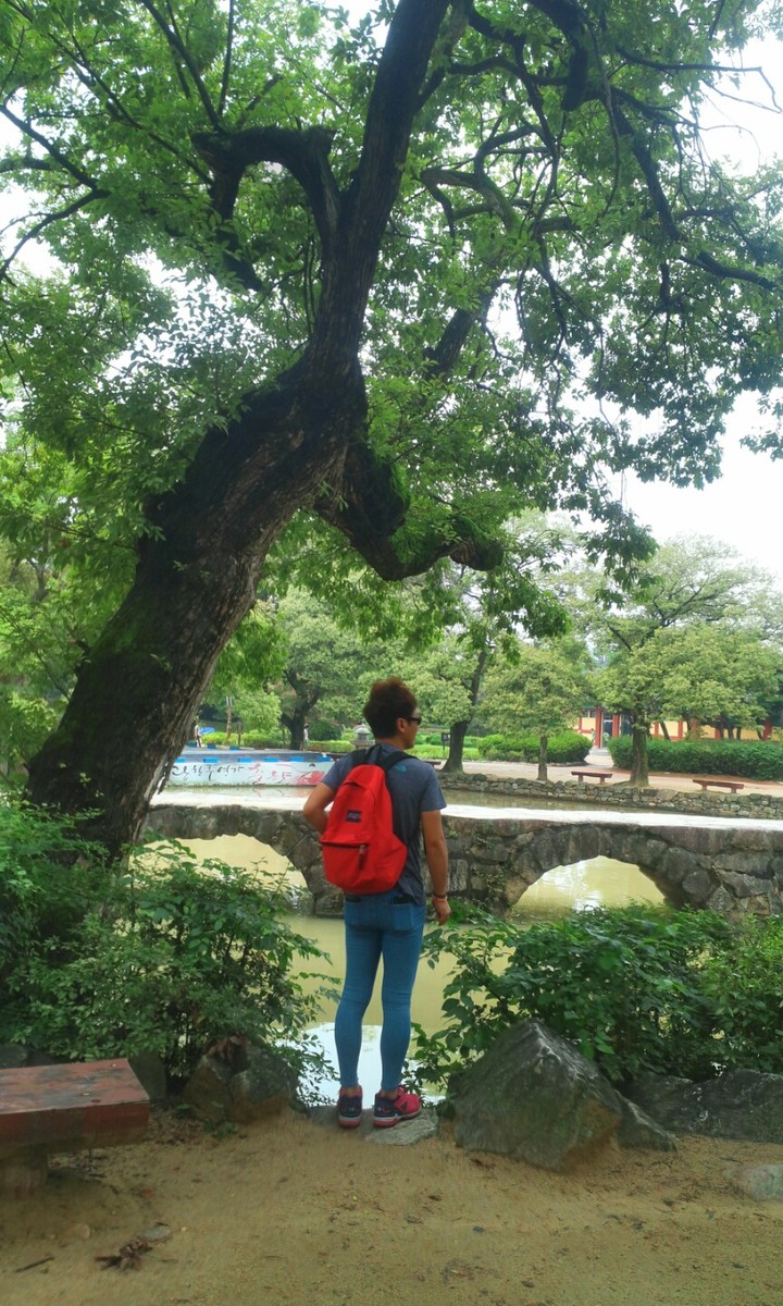 오작교앞에서