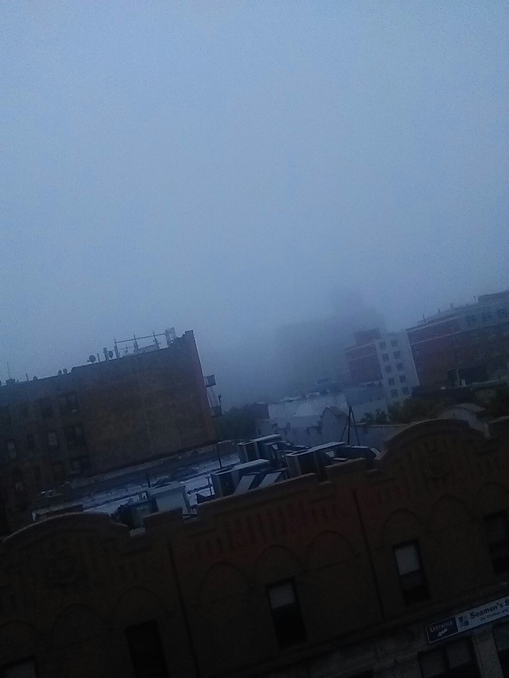 what a fogy day!!!