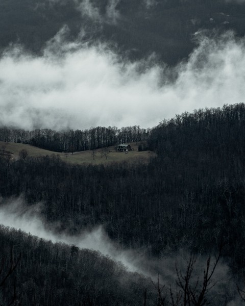 mist, Wilderness वॉलपेपर