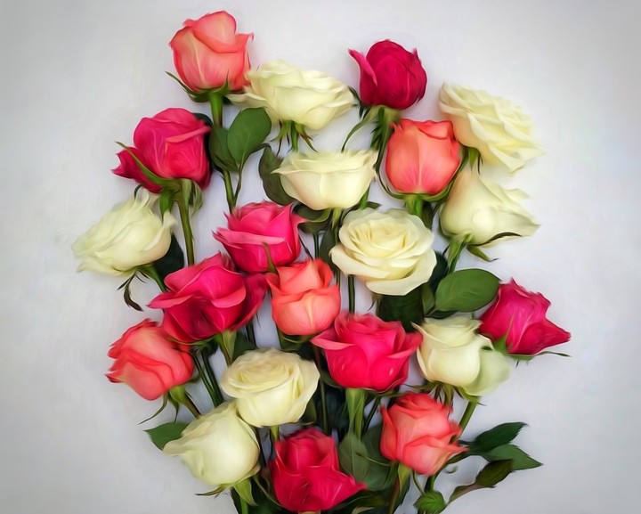 Roses
