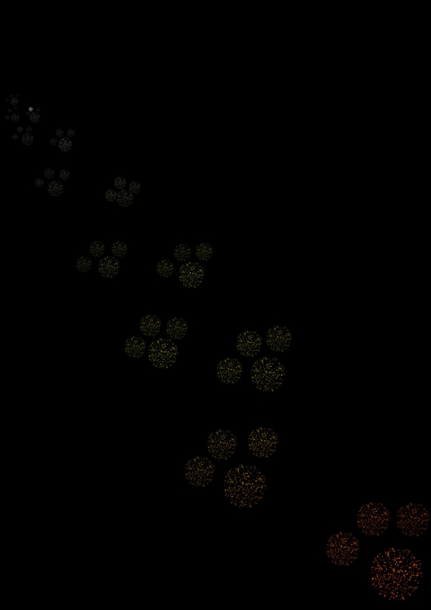 footprints