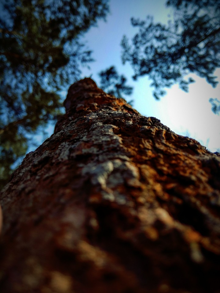 The natural beauty