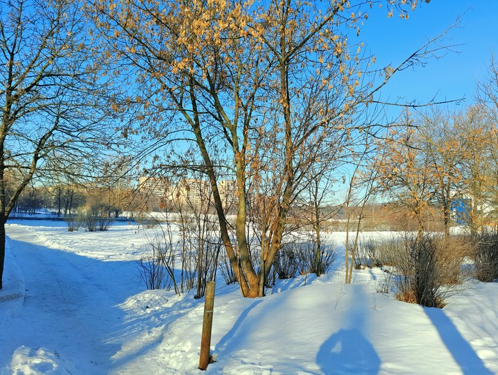 Россия, Санкт-Петербург, озеро
