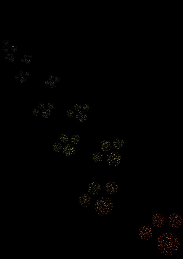 footprints