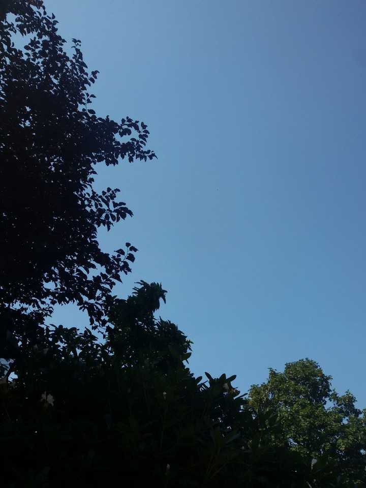 Blue sky in Germany ♥