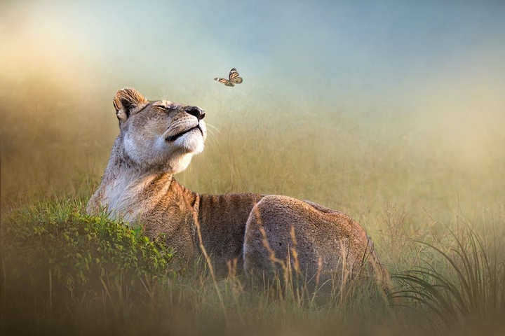 Beautiful and powerful
