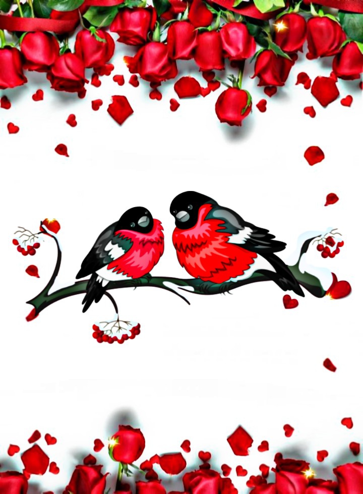 Love Birds (๑>ᴗ<๑)