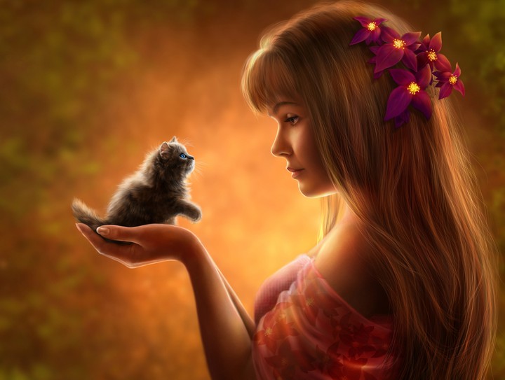Dream