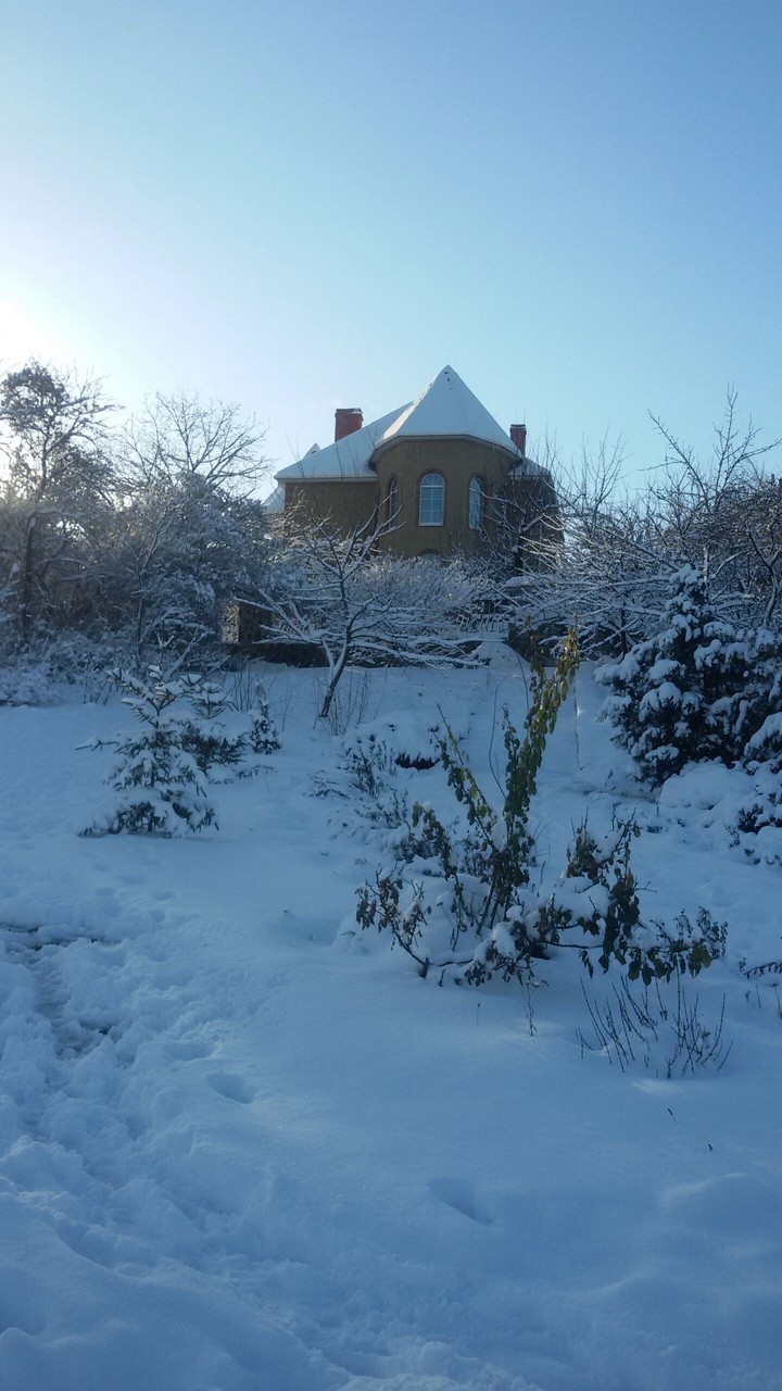 The best winter)