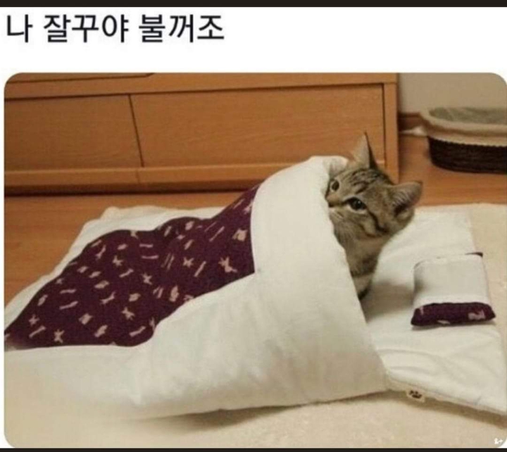 sleeping