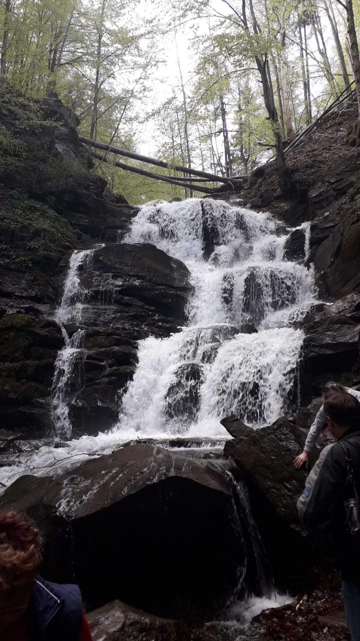 Transcarpathia