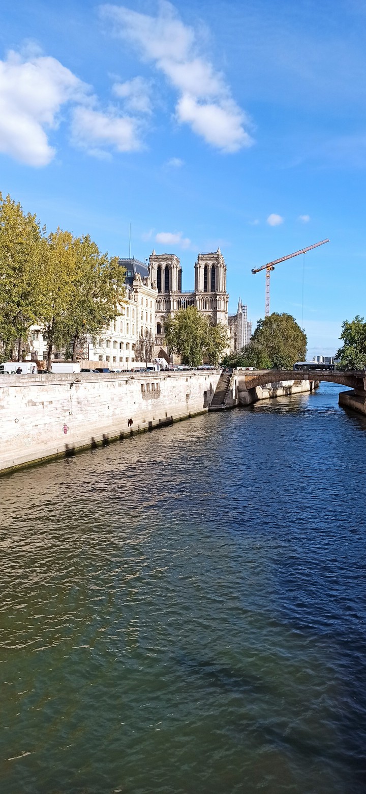 La belle en réparation