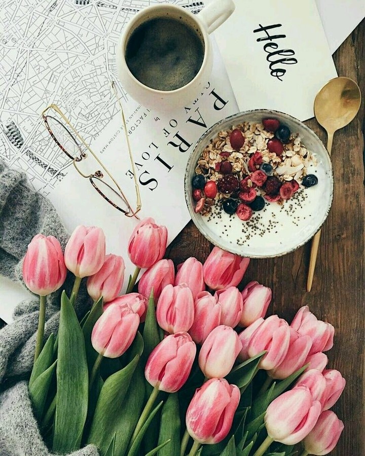 tulipa para o janta