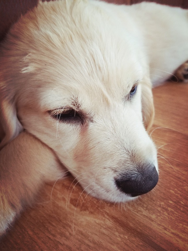 sleeping baby boy