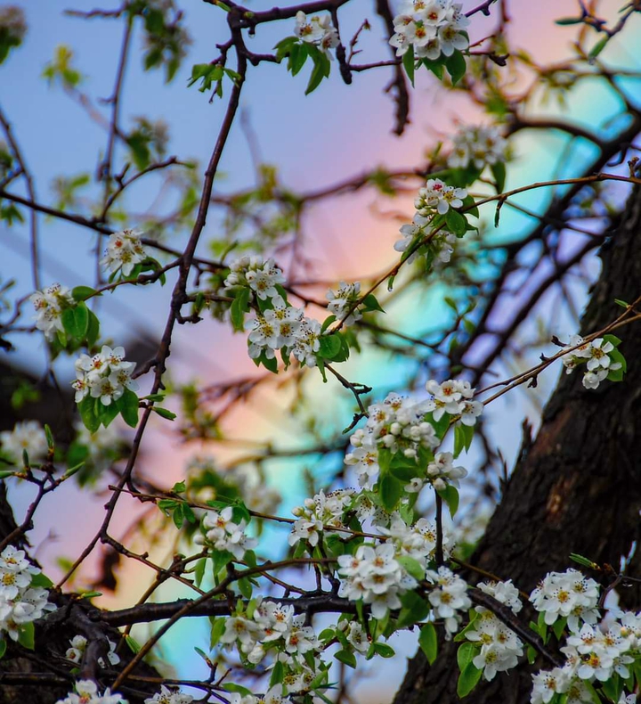 Awesome spring!