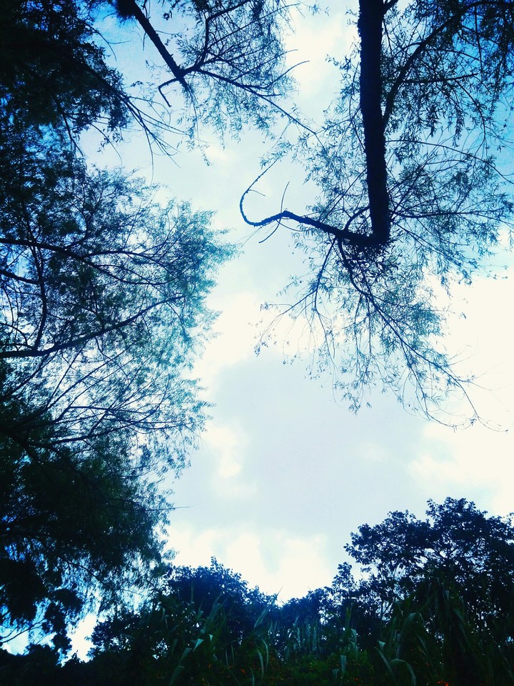 Entre el cielo y la naturaleza.