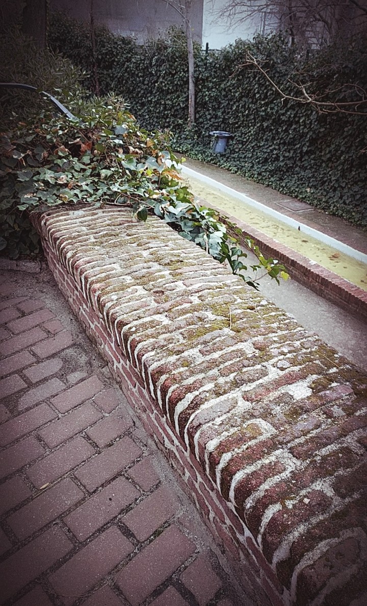 Jardín