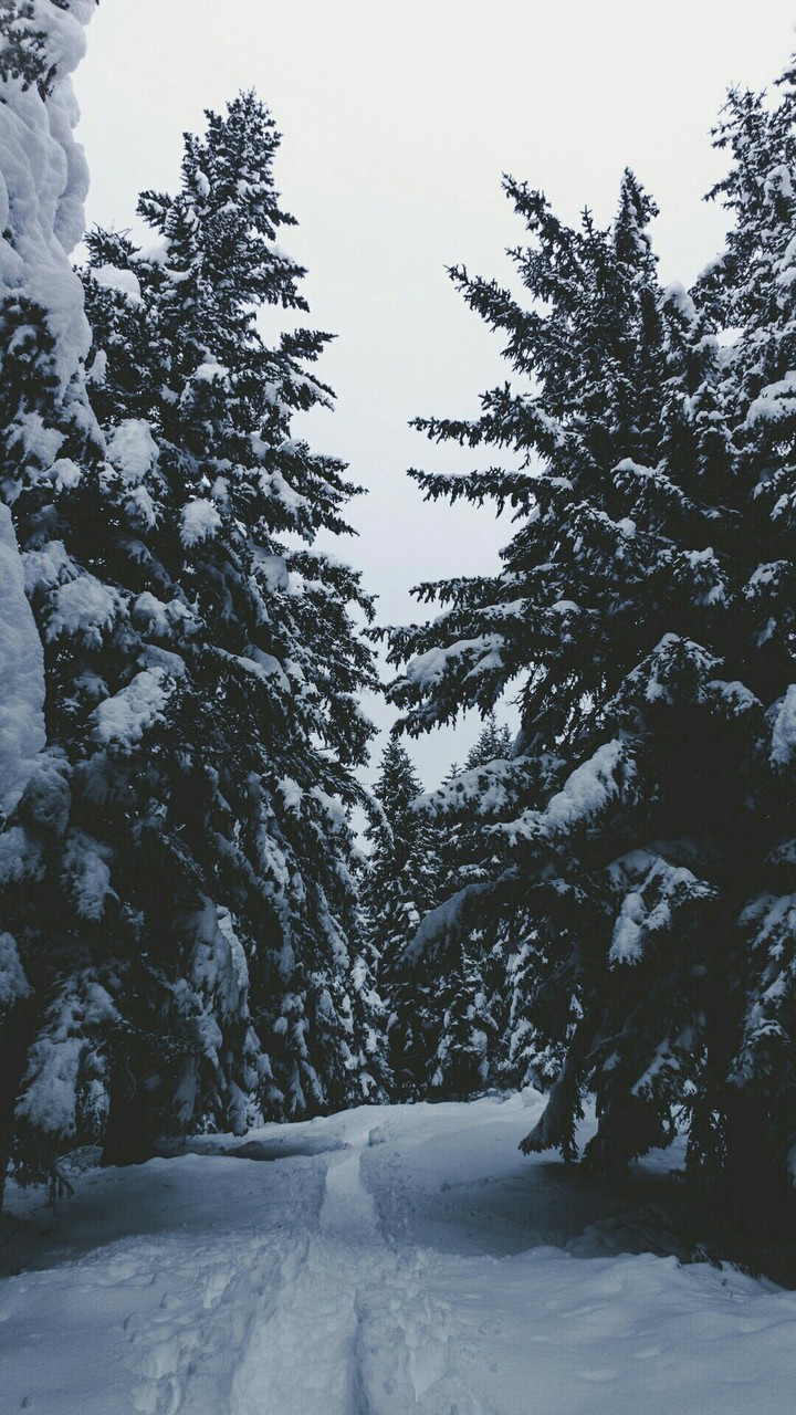 зима пришла