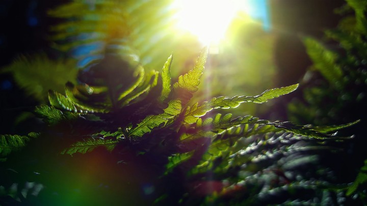 The Hidden Sun