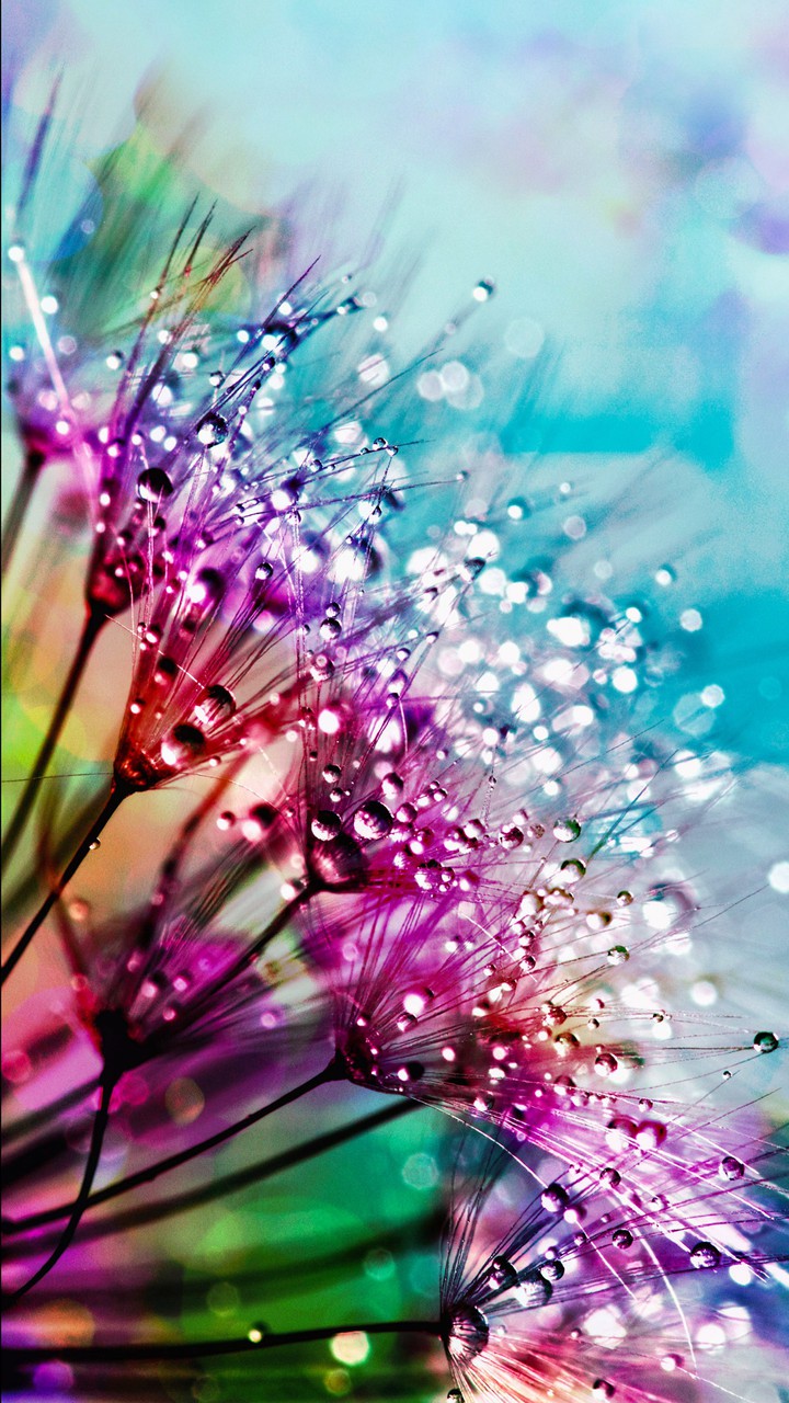 gotas