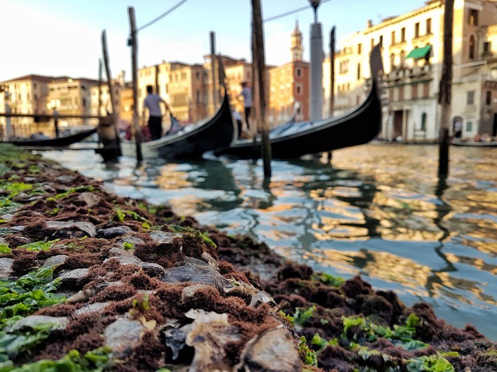Gondolas in Venice, Italy