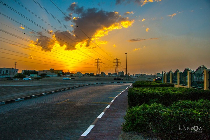 The sunset