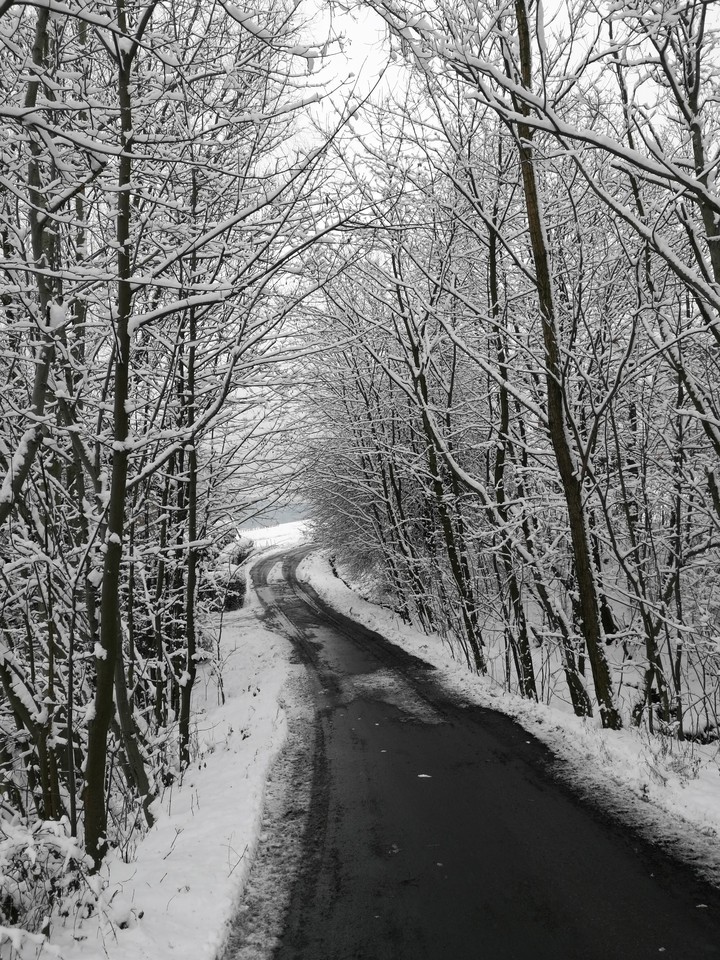 winter