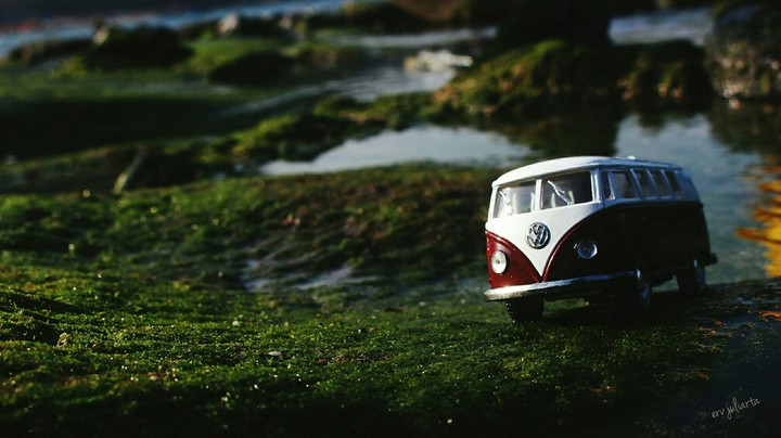 VW day