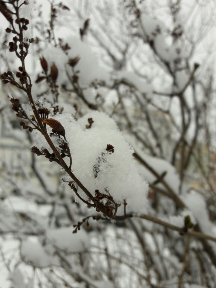 Winter 2016
