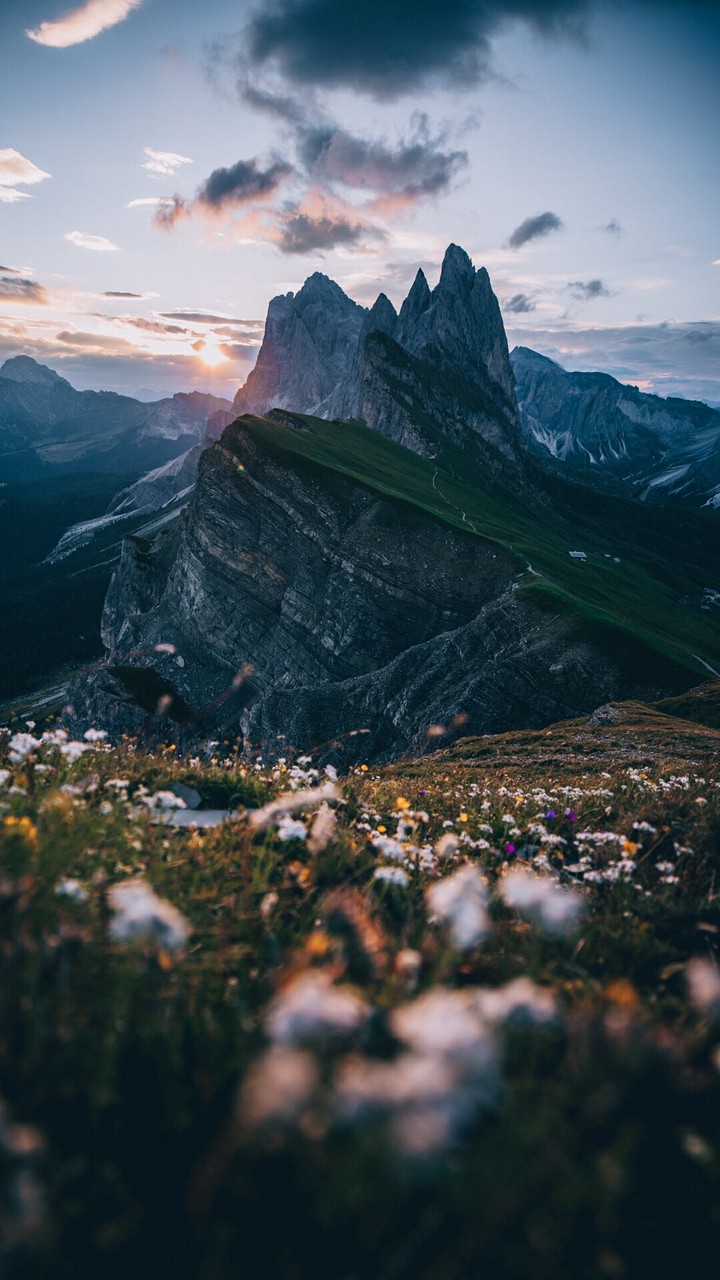Mountain