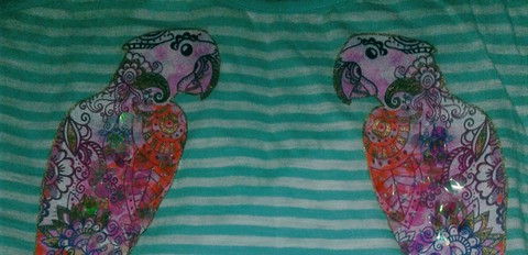 two sweet parrots