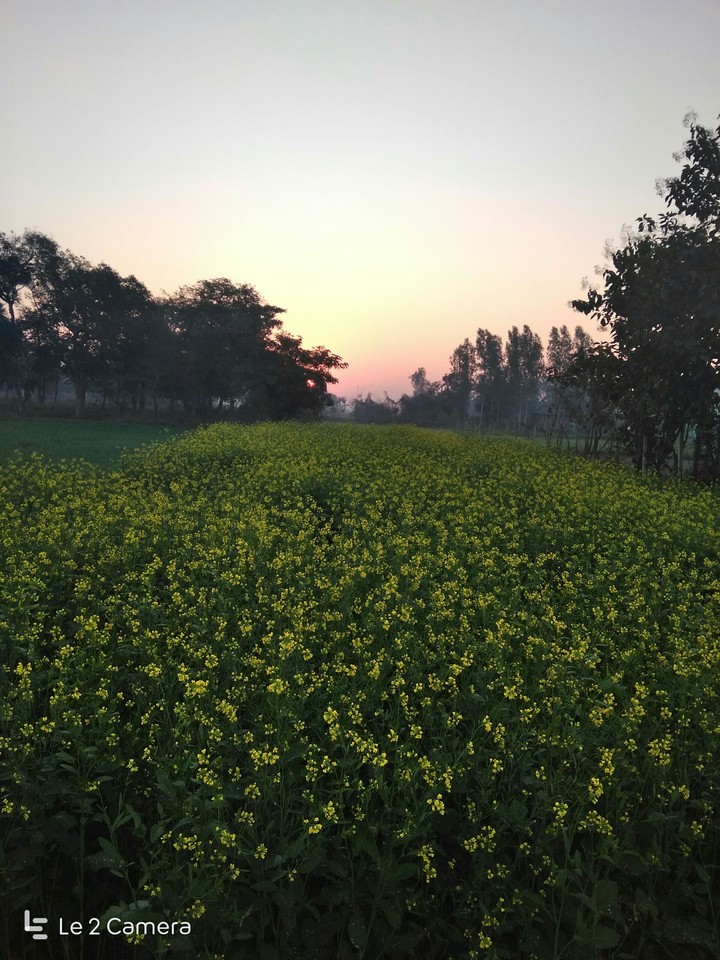 beautiful evening