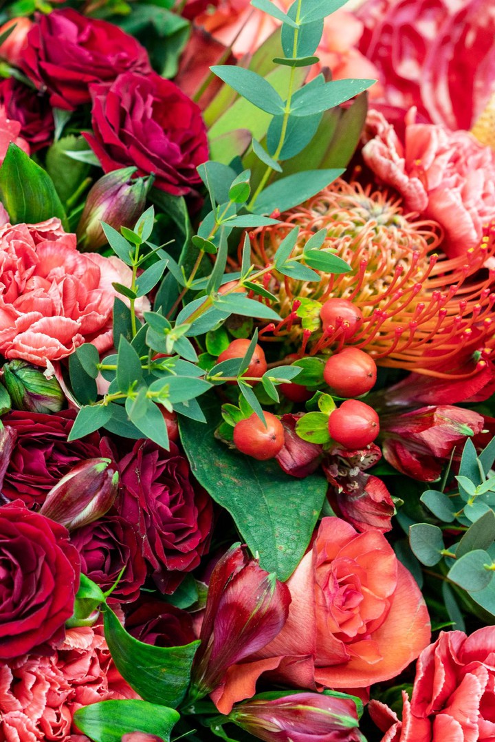 flower 1